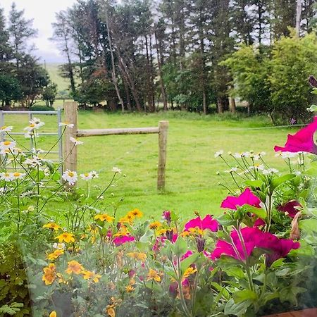 Glen Keen Farm Cottage Louisburgh Esterno foto