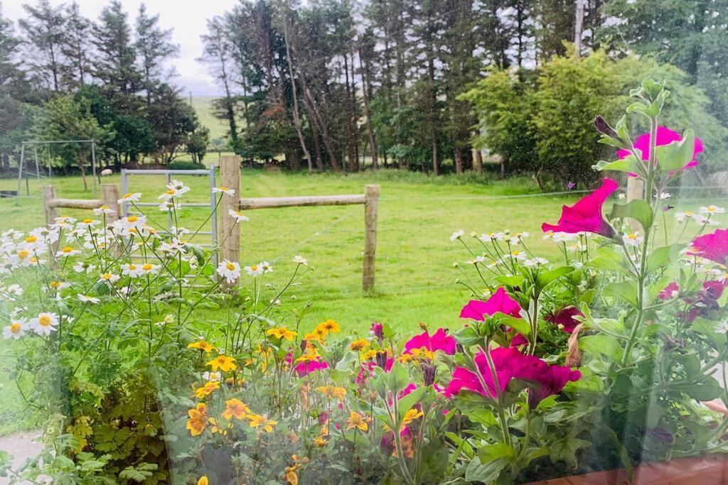 Glen Keen Farm Cottage Louisburgh Esterno foto